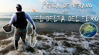 Pesca con paseantes ⭐️⭐️⭐️⭐️⭐️ El Delta del EBRO antes BORRASCA GLORIA???[WHIPLASH FACTORY TRAVIESO]