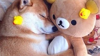 Странности на Youtube/Куда исчезают лайки?/Oddities on YouTube/