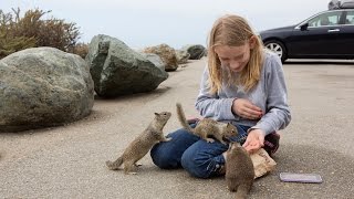 Promise feeds the squirrels