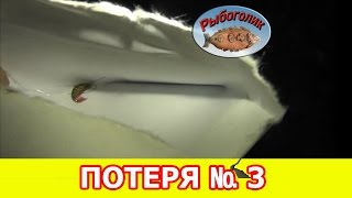 Рыбалка в Горном Алтае. Потеря №3.
