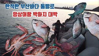 부산바다 통발로 망상어 박하지 잡기 대박 !!!!