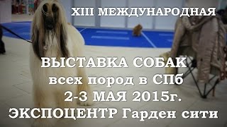 XIII Международная выставка собак всех пород "Гран При «Весенний Петербург 2015”