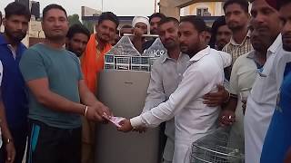 Kabootar Bazi jetu Winner by Jagga jatt, Kabaddi Times