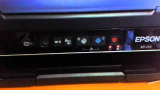 Erro da Epson XP 214 quando eu vou fazer o downgrade
