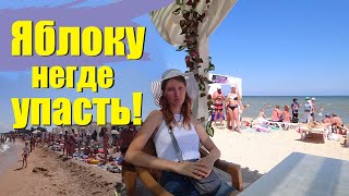Голубицкая, 2019 - самый популярный пляж "Кавказ" на Азовском море