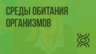 Среды обитания организмов. Знакомство с организмами различных сред обитания. Видеоурок по биологии 5