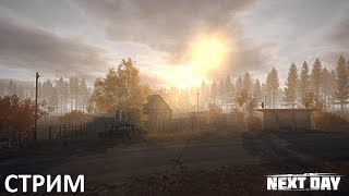 Next Day: Survival Стрим