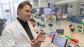 Stem Cell Research - The Battle Against Cancer | Tomorrow Today