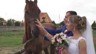 Видеосъёмка свадьбы. Свадебный клип. Wedding clip.Свадьба Павлоград. Видеоператор на свадьбу.