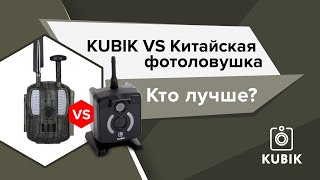 Российский KUBIK против китайской фотоловушки. Кто лучше?