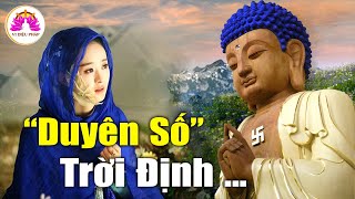 Vợ Chồng, Không Duyên Không Gặp, Không Nợ Không Đến - Vi Diệu Pháp