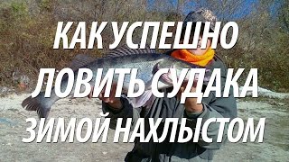 СУДАК ЗИМОЙ НА ОТКРЫТОЙ ВОДЕ. ЗИМНЯЯ РЫБАЛКА НА КУБАНИ НАХЛЫСТОМ