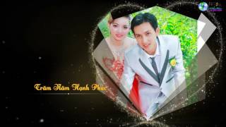 free style đầu băng wedding proshow producer convert từ after effect
