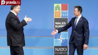 Хлопнули дверью: НАТО не нужна Украина