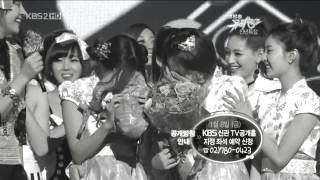 T-ARA Support- Titanium