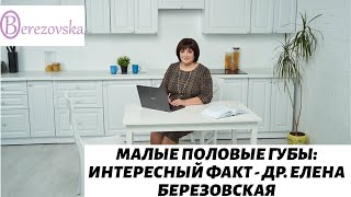 Малые половые губы: интересный факт - Др. Елена Березовская