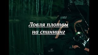 Ловля плотвы на спиннинг. Рыбалка. Клев сороги.