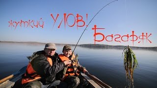 рыбалка , жуткий улов. озеро Багаряк