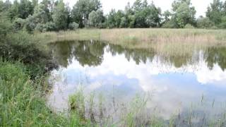 Егорьевский рыбхоз.