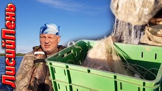 Кладовка сеть на стерлядь