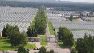 Совхоз-комбинат "Московский" - 20 Лет
