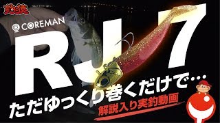 シーバス初心者&知識ゼロの人も簡単に釣れちゃうルアーの紹介