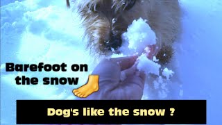Barefoot on the snow?| Playing with snow