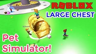 Roblox: New Area! Pet Simulator! THE FIRST DAY CAUGHT THE LARGE CHEST