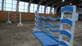 Grand Prix Showjumping Horse For Sale