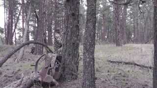 Bowhunting Montana Elk