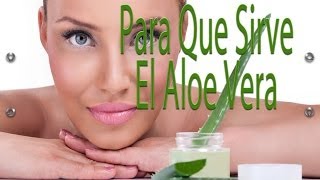 Para Que Sirve El Aloe Vera - Penca Sabila