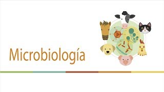 Identificación de hongos