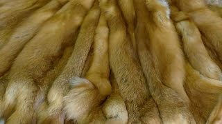 ВЫДЕЛКА ШКУРЫ ЛИСЫ ЧАСТЬ 4 (мездрение)