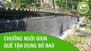 Chuồng nuôi giun quế chi phí thấp, hiệu quả cao - Trại Giun Quế Ba Vì