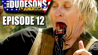 SCORPION BIT MY MOUTH! - Dudesons In America Episode 12 HD