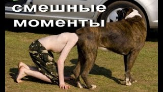 Самые смешные и неудачные моменты.Домашние приколы