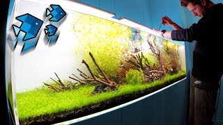 70 neue Tiere im XXL Aquarium! ?