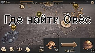 Ищем Овёс На Локациях 3 Черепа И Сокровище Проклятых Grim Soul Обновление 1.6.1