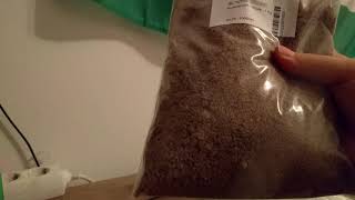 Unboxing vom Antstore  |Austria Ants| ✓