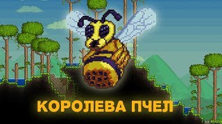 Как убить Королеву Пчёл за мага, стрелка, воина и метателя // Terraria Expert // (без баффов)
