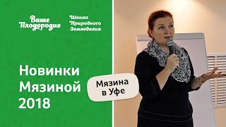 Новинки томатов Мязиной 2018 года