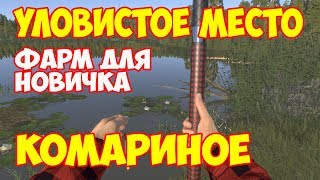 Комариное оз ФАРМ ДЕНЕГ ПЛОТВА и КАРАСЬ Русская Рыбалка 4 Алексей Майоров