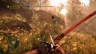 Far Cry Primal 4K (Ultra, HD Texture) on GeForce GTX 1080 OC