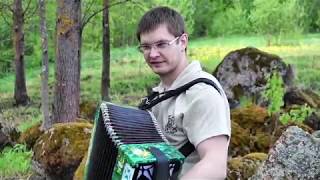 Виновата ли я. Игра на гармони. Русская народная песня. Гармонист Алексей ЛеонЕнков