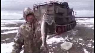 Певек.Рыбалка на спининг(мидл-лайт класс) Голец. Chukotka.Russia.Fishing