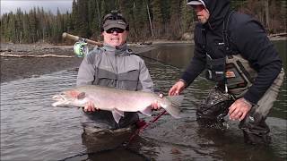 Fly Fishing -  Catching my first Steelhead with a dry fly