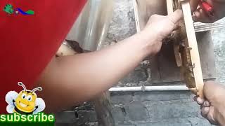 Cara Membuat Kotak Budidaya Lebah Madu Cerana Dua Pintu
