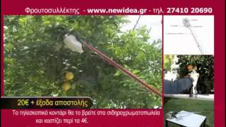 Φρουτοσυλλέκτης