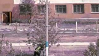 Пересадка перевьев по ул Владимирская Атырау май 2011