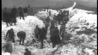 Жертвы войны /War victims (1945)